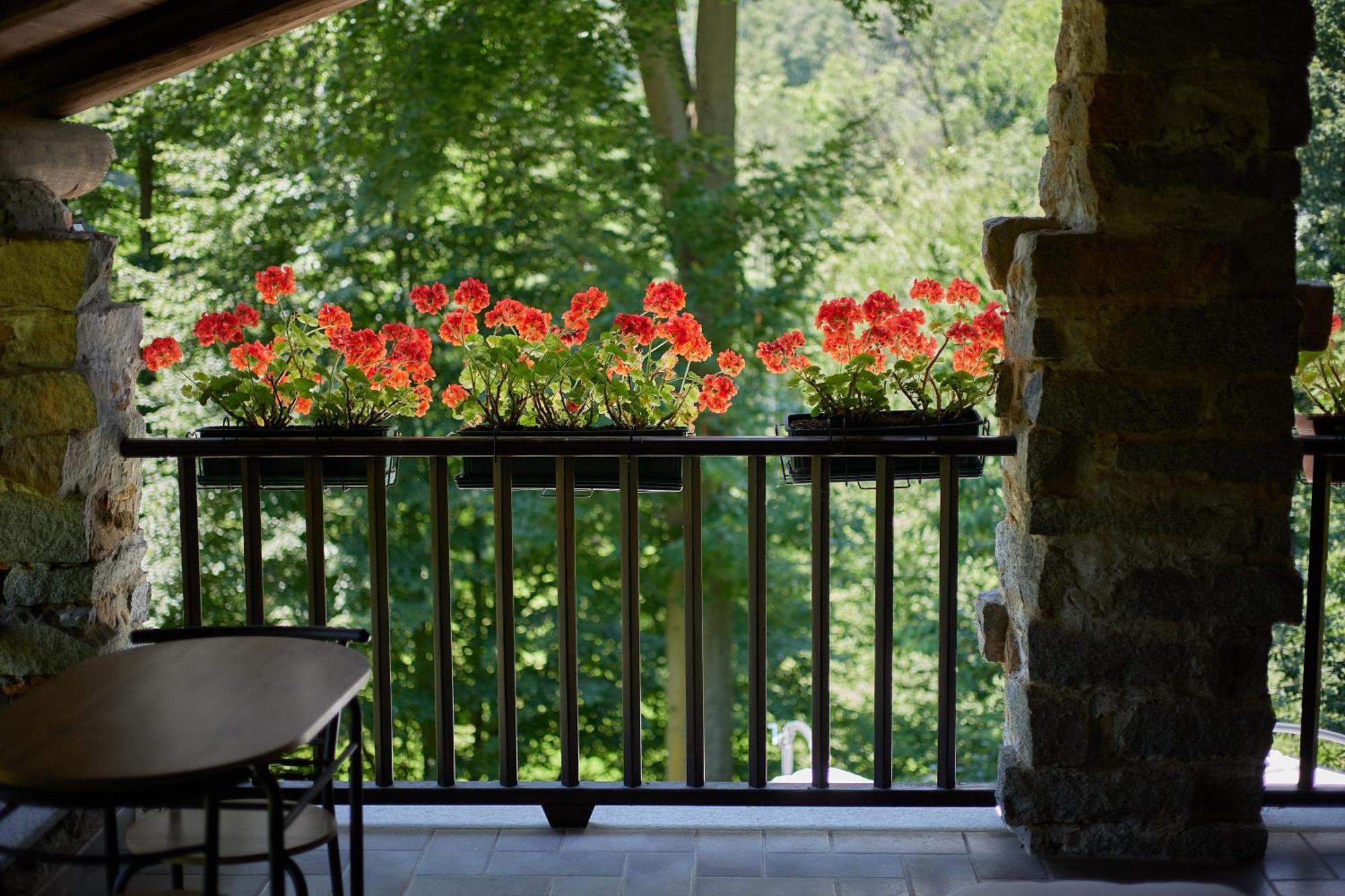 Villetta Con Giardino ⭑⭑⭑⭑⭑ - Wifi, Dogs Allowed Biella Exteriér fotografie